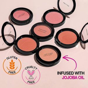 Wet n Wild Color Icon Blush Powder Makeup